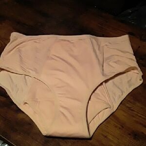 NWOT Women's 4X Evella Bladder Leakproof Beige Full Brief Panties NEW